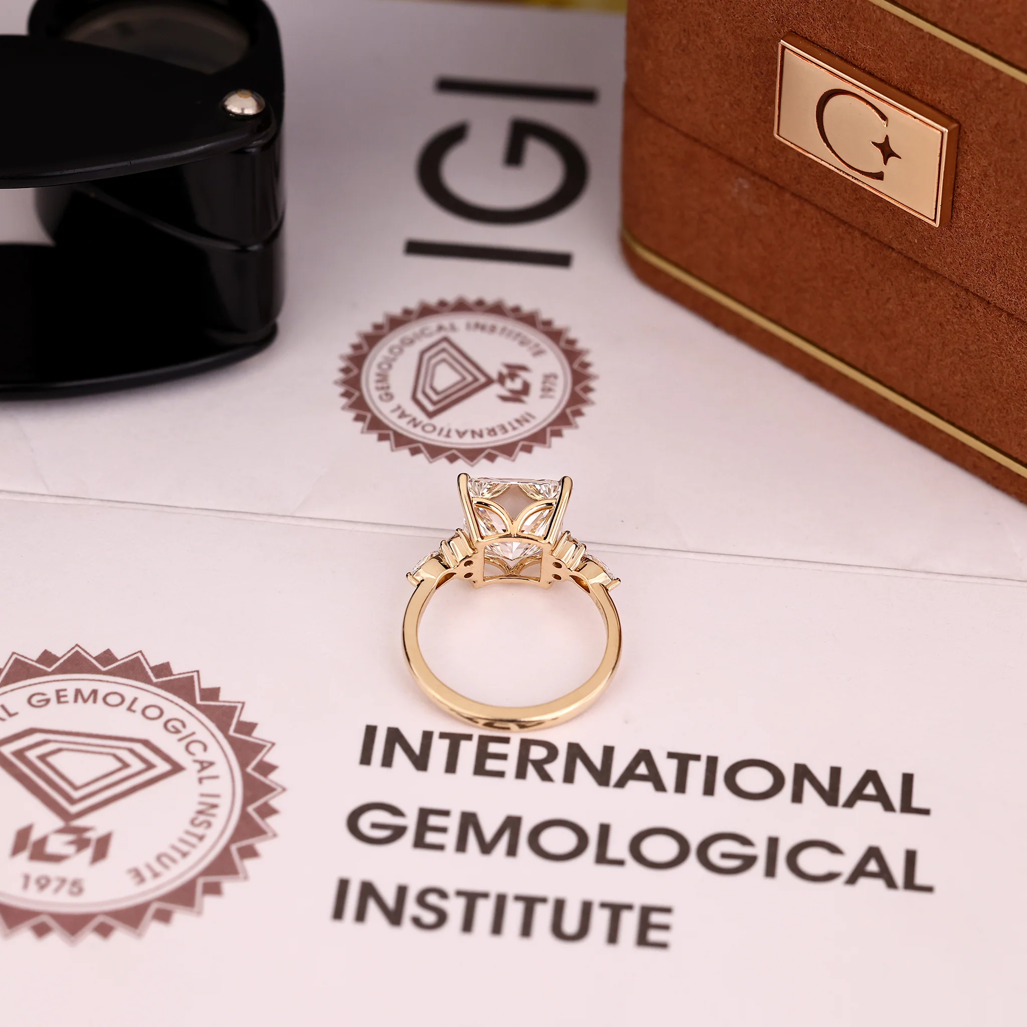 IGI Certified 5 - 7 Carat Princess Cut Diamond Ring in Muse Setting - Image 12