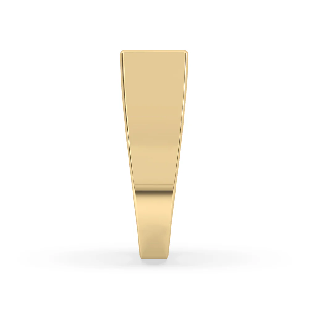 Yellow Gold Mens Wedding Band - 2 Stone - Image 4